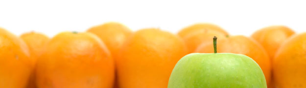 Pay Per Click Management