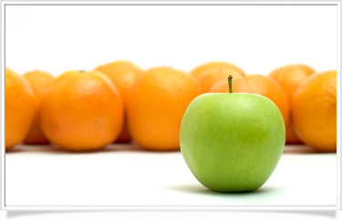 Top Notch Web Marketing Services