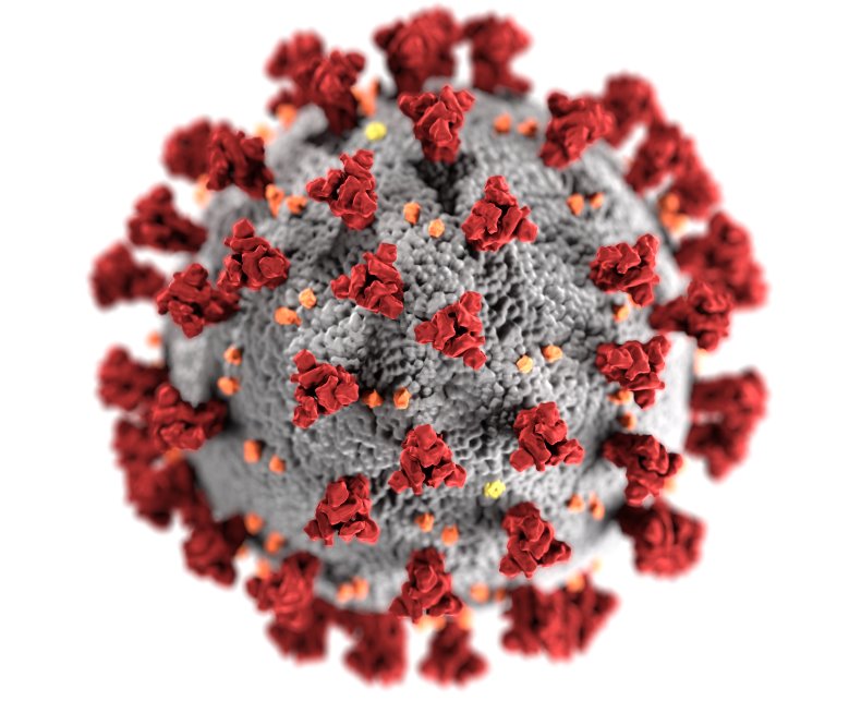 seo during coronavirus