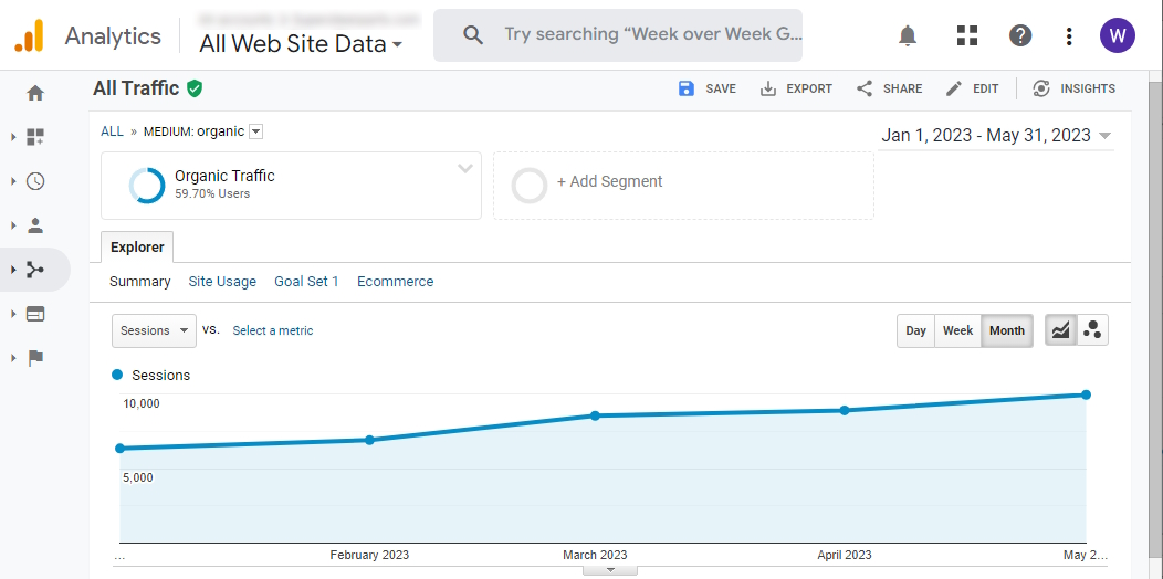 Website Traffic Growth from SEO